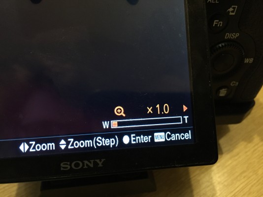 ClearImage Zoom indicator